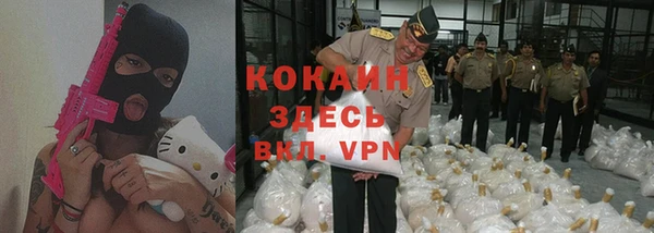 прущие грибы Козельск