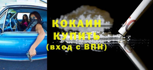 прущие грибы Козельск