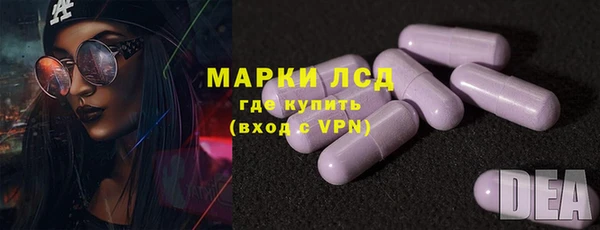 прущие грибы Козельск