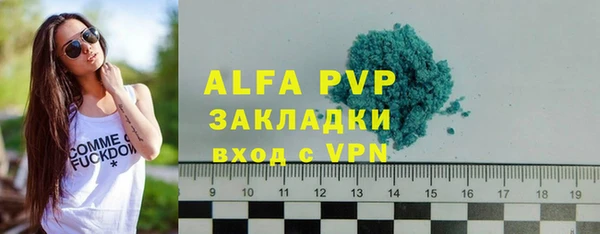 гашик Костерёво