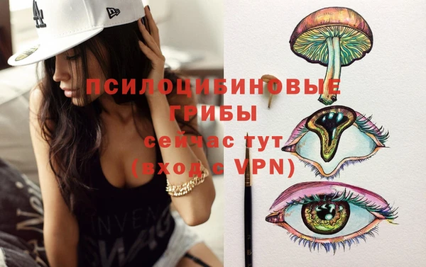 гидра Козловка