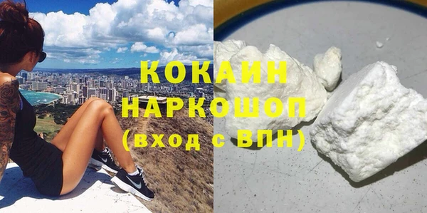 прущие грибы Козельск