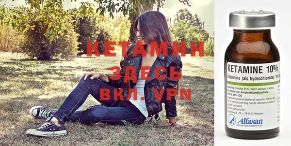 трава Коряжма