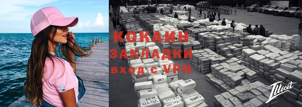 прущие грибы Козельск