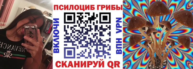 Псилоцибиновые грибы Psilocybe  Купить где  Ува 